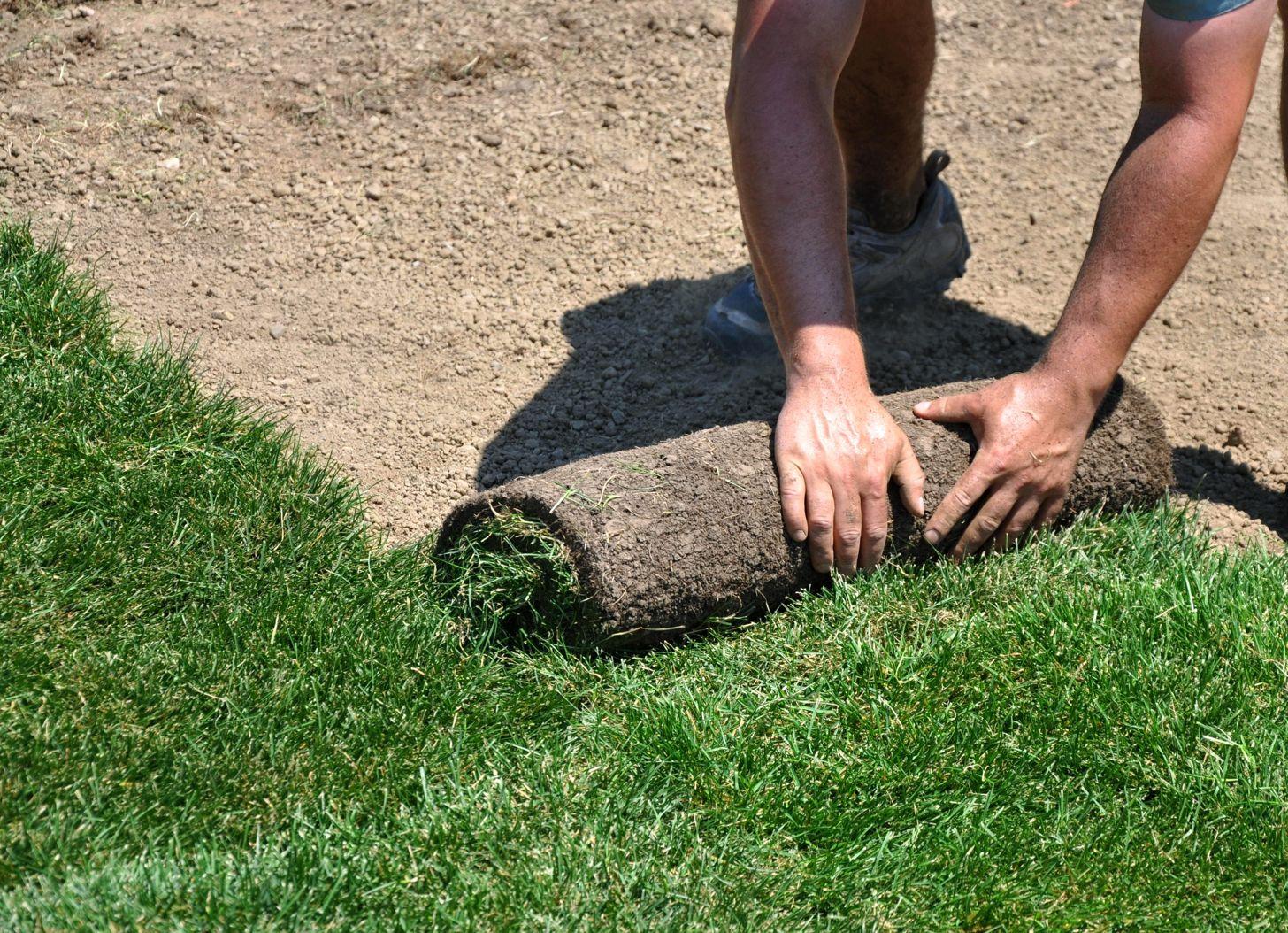 Pro Tips How to Lay Sod Country Green Turf Farms