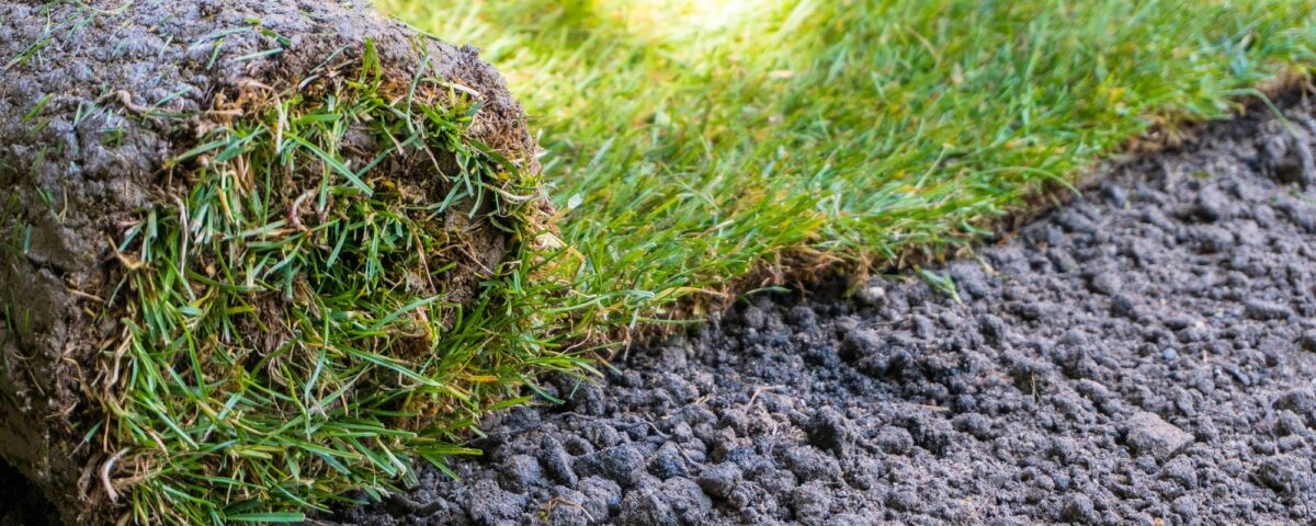 Sod Installation Bellevue