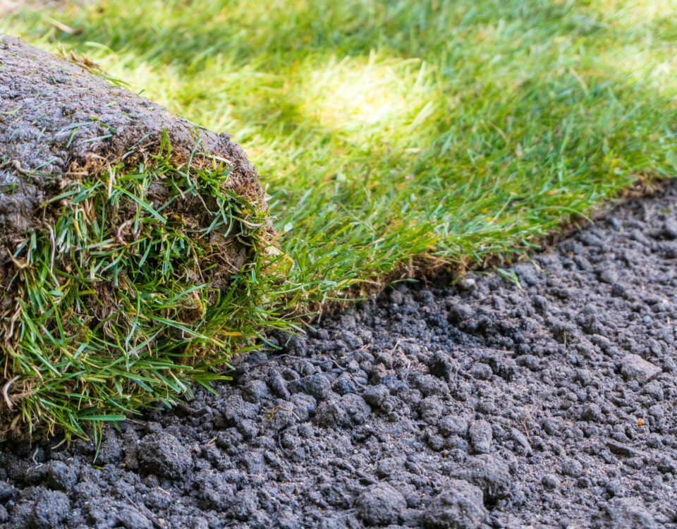 Sod Installation Bellevue