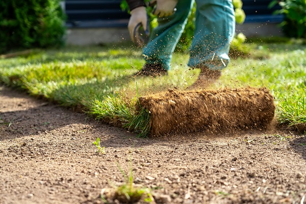 Sod Installation Near Me Bellevue